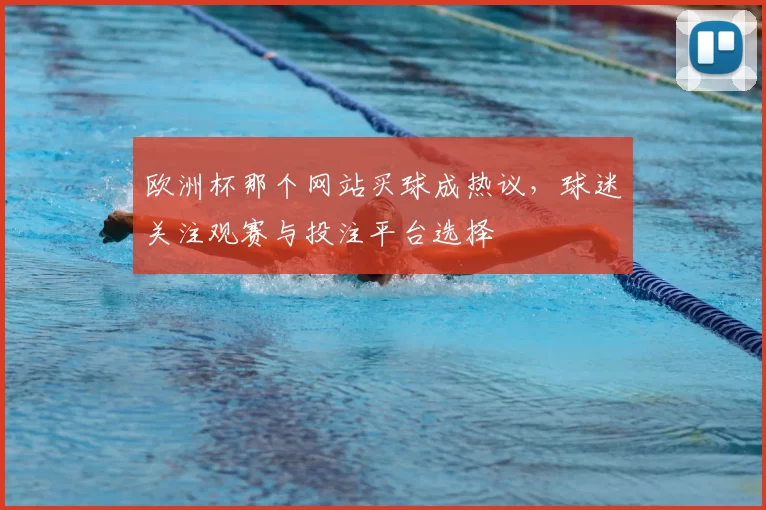 欧洲杯那个网站买球成热议，球迷关注观赛与投注平台选择