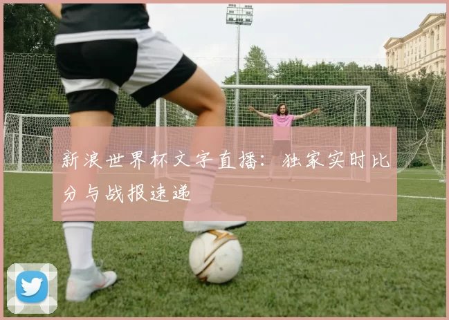 新浪世界杯文字直播：独家实时比分与战报速递
