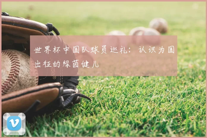 世界杯中国队球员巡礼:认识为国出征的绿茵健儿