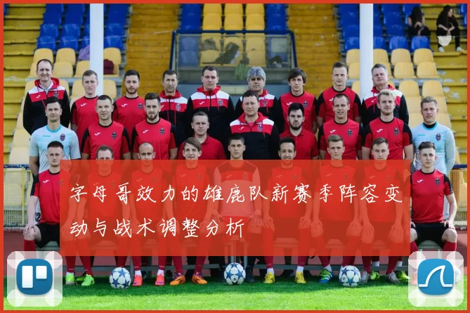 字母哥效力的雄鹿队新赛季阵容变动与战术调整分析
