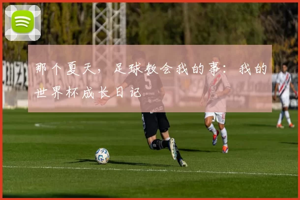 那个夏天,足球教会我的事:我的世界杯成长日记