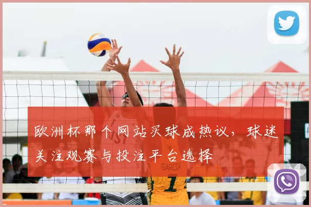 欧洲杯那个网站买球成热议,球迷关注观赛与投注平台选择