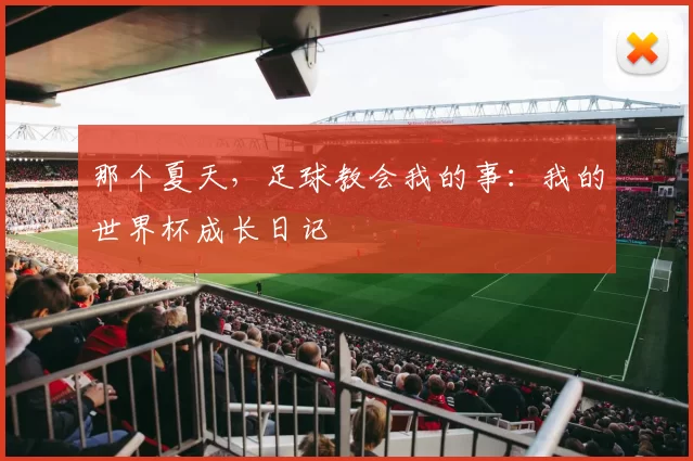 那个夏天，足球教会我的事：我的世界杯成长日记