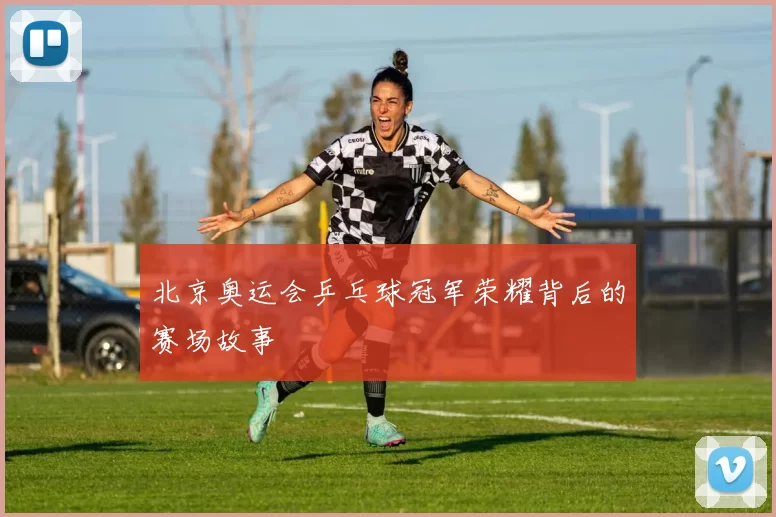北京奥运会乒乓球冠军荣耀背后的赛场故事