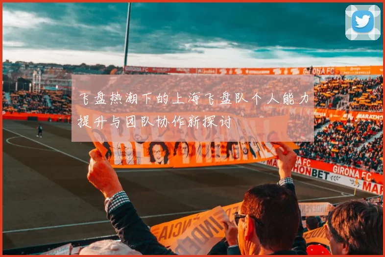 飞盘热潮下的上海飞盘队个人能力提升与团队协作新探讨