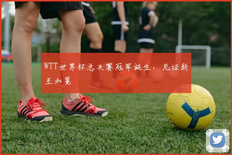 WTT世界杯总决赛冠军诞生,见证新王加冕