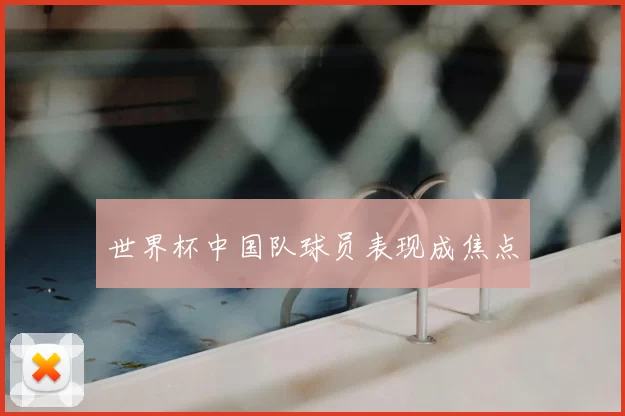 世界杯中国队球员表现成焦点
