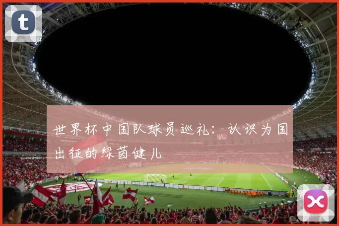世界杯中国队球员巡礼：认识为国出征的绿茵健儿